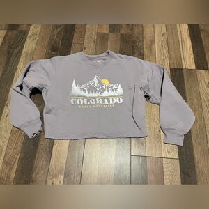 Hollister Lavender Cropped Crew Neck Sweater